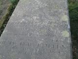 image of grave number 381364